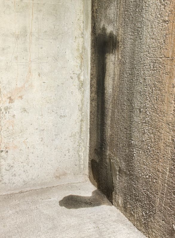 Leaking Basement Repair in Tampa, FL